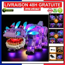 Jeu de Lumières Elegantes