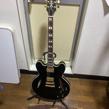 Epiphone Emily Wolfe Sheraton