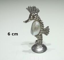 magnifique hippocampe en