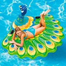 Flotteur gonflable de piscine