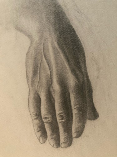 Dessin main anatomie - dessin, mine