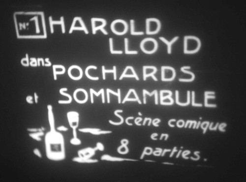 Pochards somnambule harold - pochards, (harold