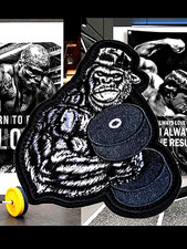 NO PAIN NO GAIN - Ecusson ou