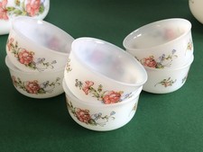 6 ramequins ARCOPAL modèle Ronsart