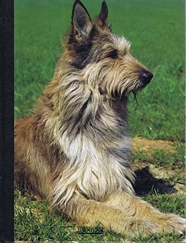 Mon compagnon chien - mon, vol