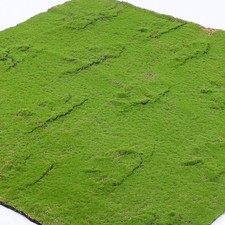 Décoration Intérieur