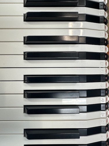 Korg triton extreme - pick, a