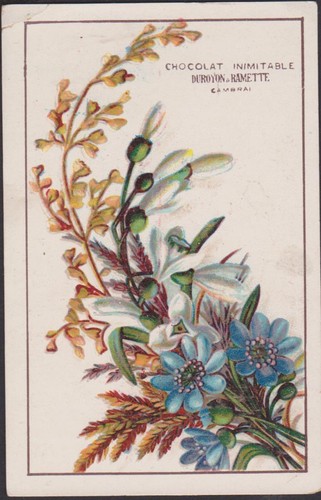 Chromo ancien publicitaire - chromo,