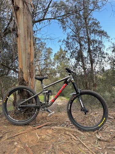 2019 trek remedy size l - 2019, m/l