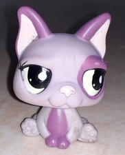 Petshop chien bouledogue