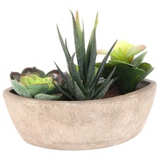 1pc plante succulente simulée