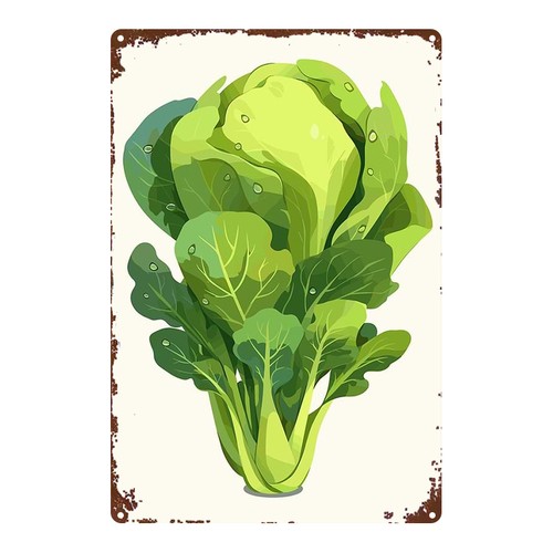 Minimalist bok choy - bok,