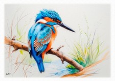 Tableau - Illustration  originale - Portrait  Martin Pêcheur