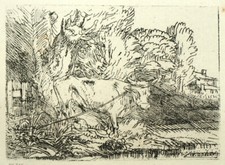 LE TAUREAU Gravure eau-forte