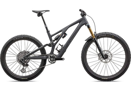 2025 specialized works - 2025,