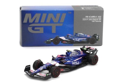 Mini visa rb - visa, 01