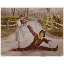 THE WIZARD OF OZ US Movie Still 1060-36 - 8x10 in. - 1939 - Victor Fleming, Judy