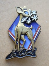 Insigne, broche médaille ski