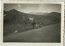 PHOTO ANCIENNE - VINTAGE