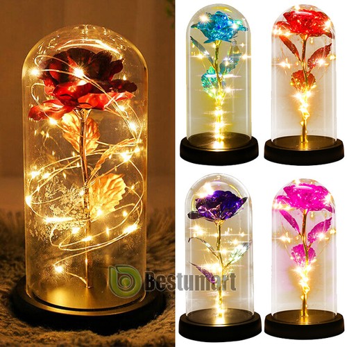 Rose led glass dome - in,