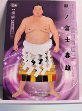 Sumo Card Hibiki 2024 Terunofuji