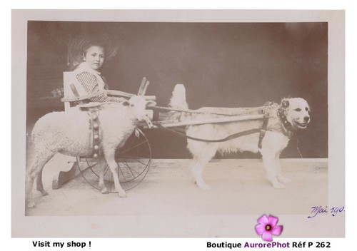 Voiture attelage jouet enfant - voiture,