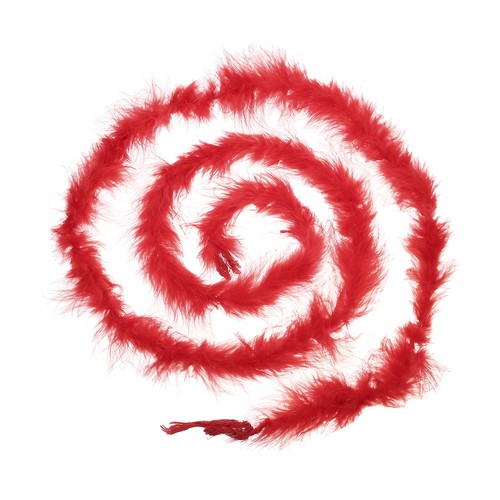 Pcs plume boa pour - plume,