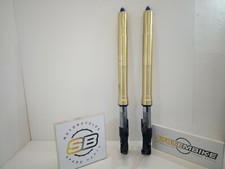 PAIRE DE TIGES DE FOURCHE