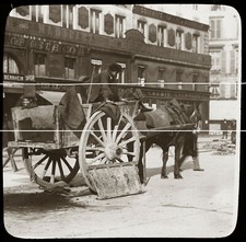 PARIS 1900 CHARBONNIERS TIRAGE MODERNE D APRES PLAQUE PHOTO ANCIENNE
