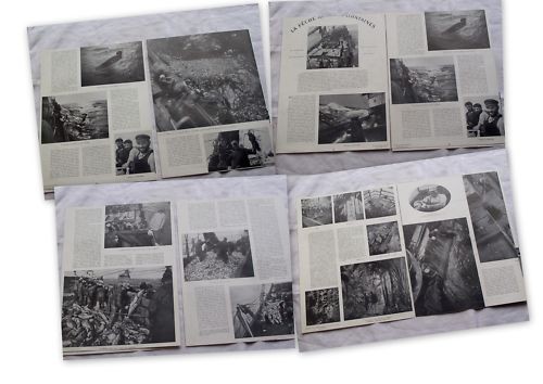 Article presse pêche haute - presse,pêche,