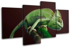 Gekko Wildlife Abstract MULTI