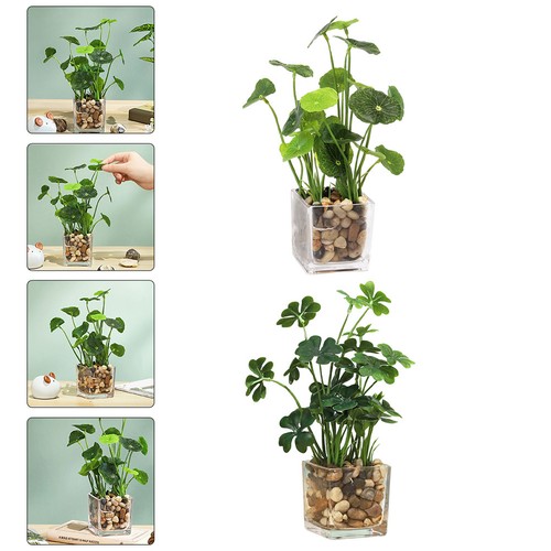 Pcs pot de fleurs - ,