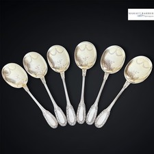 6 Cuillères à glace en