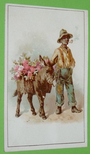 Chromo 1895 1914 - 1895-1914, biscuiterie