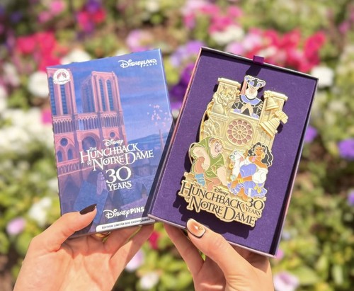Pin notre dame - pin’s, paris