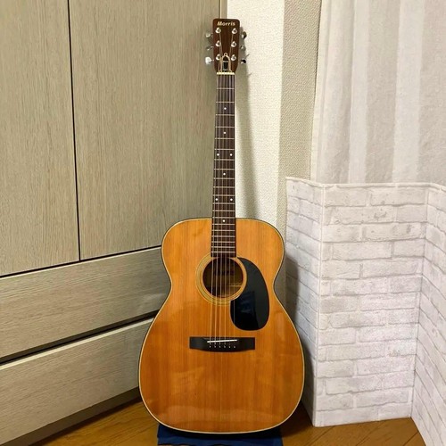 Guitare vintage morris - guitare, fd-13