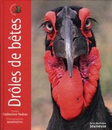 Drôles bêtes vadon - de, de