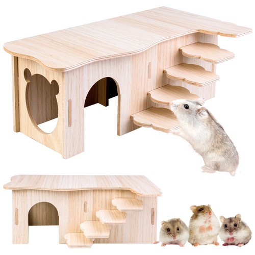 Hamster maison angle - hamster,