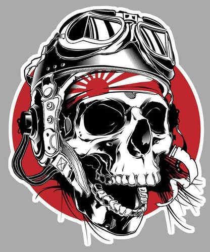 Tete mort japon biker rider - tete,
