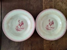 2 Assiettes creuse Terre de
