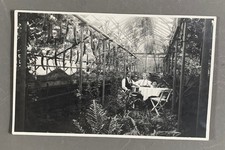 CARTE PHOTO ancienne Homme SERRE Nature Plante Végétation Jardin d'hiver Fougère