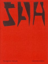 Synnøve Anker Aurdal: Through