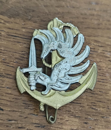 Insigne parachutistes troupes - insigne,