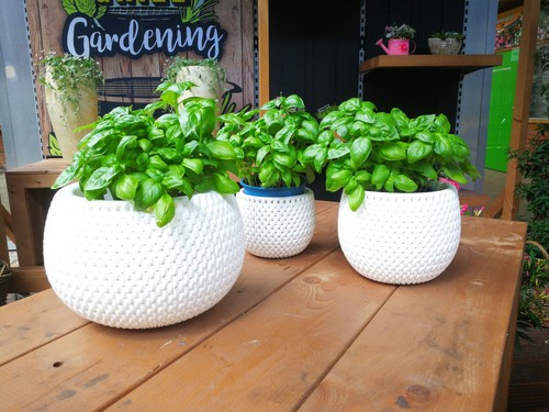 Jardinière lot pot de - jardinière,