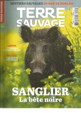 TERRE SAUVAGE N°418 SANGLIER