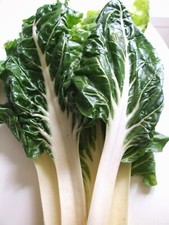 BLETTES / POIREE / BETTES - potagère bisanuelle - graines - env 1g permaculture