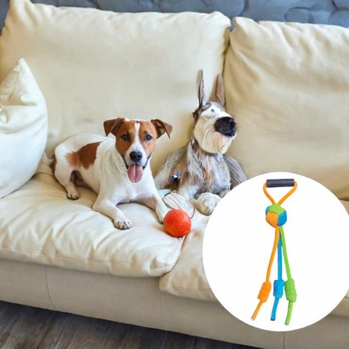 Jouet corde pour chien - en,