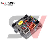 BSM R05 DELPHI 9666700480