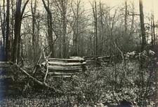c1914 Photo Photograph Indiana IN Peru Autumn Scene Rail Fence Leaves Trees