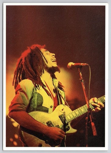 Bob marley live concert - concert, gibson